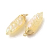 Rainbow Iridescent Plating Resin Pendants RESI-C047-03C-G-2