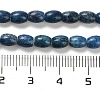 Natural Dolomite Beads Strands G-F765-A03-01-5