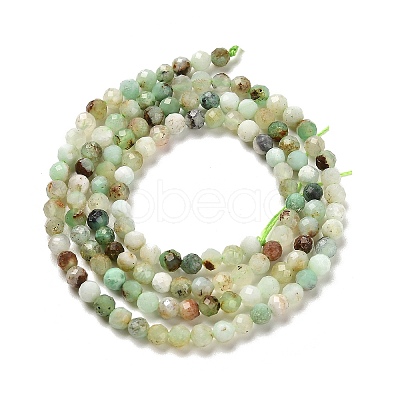 Natural Serpentine Beads Strands G-B107-A05-03-1