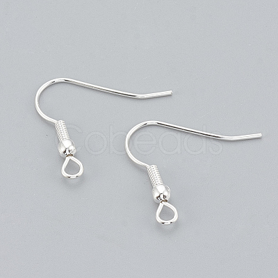 304 Stainless Steel Earring Hooks X-STAS-T031-17S-1