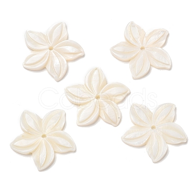 Natural Freshwater Shell Beads SHEL-F007-18-1