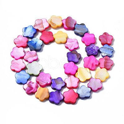 Natural Freshwater Shell Beads Strands SHEL-S278-021-1