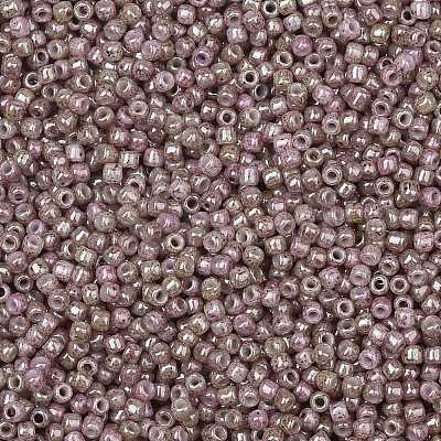 TOHO 11/0 Round Beads X-SEED-TR11-1201-1