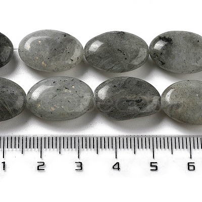 Natural Labradorite Beads Strands G-P528-M10-01-1