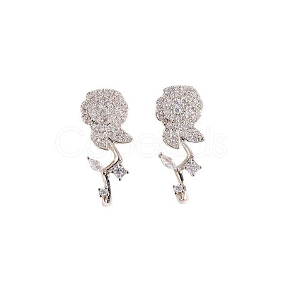Valentine's Day 304 Stainless Steel & Clear Cubic Zirconia Stud Earrings WGA5FB3-04-1