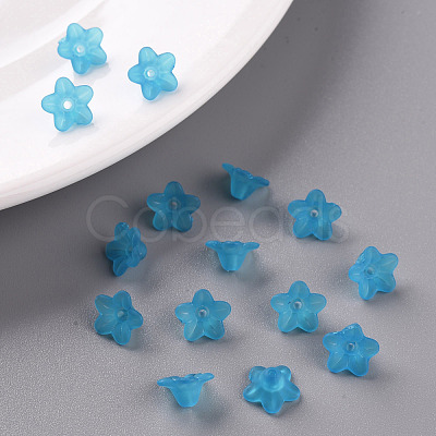 Transparent Acrylic Beads PL554-10-1