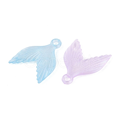 Transparent Plastic Pendants KY-N025-61-1