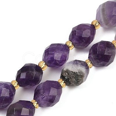 Natural Amethyst Beads Strands G-N342-149G-1