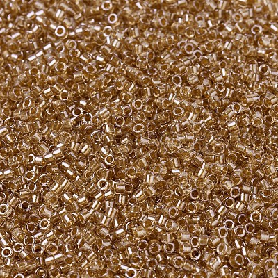 MIYUKI Delica Beads SEED-X0054-DB0901-1