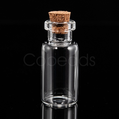 Glass Jar Glass Bottles AJEW-H004-3-1