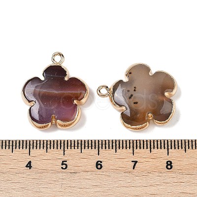 Natural Red Agate Pendants G-P566-01G-02-1