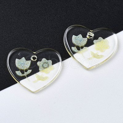 Transparent Resin Pendants RESI-N030-001D-1