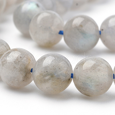 Natural Labradorite Beads Strands X-G-Q961-05-6mm-1