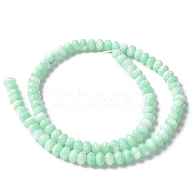 Natural Freshwater Shell Beads Strands SSHEL-C013-07D-1