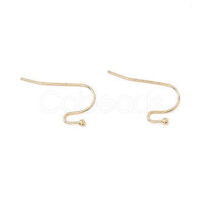 316 Surgical Stainless Steel Earring Hooks LS-X-STAS-P307-07G-1