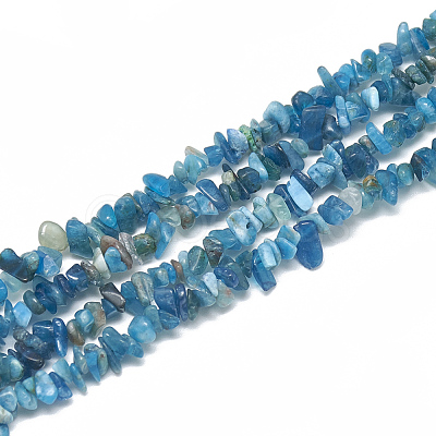 Natural Apatite Beads Strands G-S315-24-1