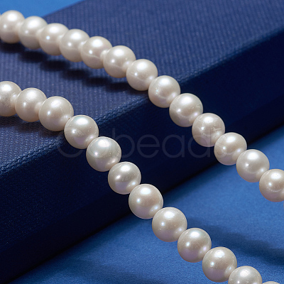 Natural Cultured Freshwater PearlBeads Strands PEAR-E002-04-01-1