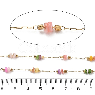 Shell & 304 Stainless Steel Oval Beads Link Chains CHS-K021-09G-02-1