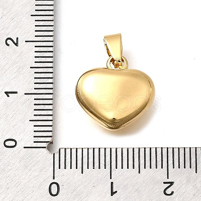 304 Stainless Steel Pendants STAS-H200-01G-12-1