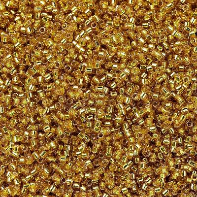 MIYUKI Delica Beads SEED-X0054-DB2157-1