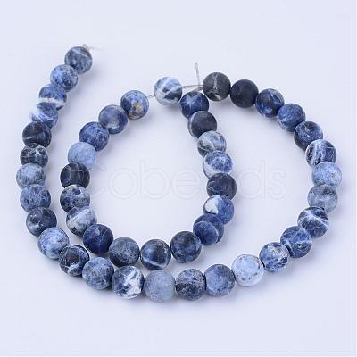 Natural Sodalite Beads Strands G-Q462-6mm-07-1