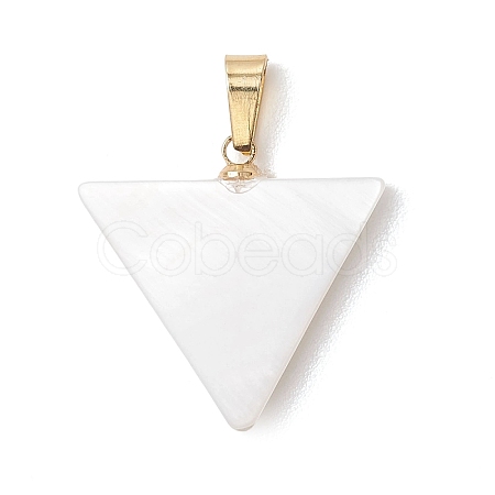 Natural Freshwater Shell Pendants PALLOY-JF05137-01-1