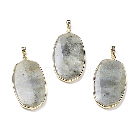Natural Labradorite Pendants G-K338-05B-1