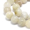 Natural Rainbow Moonstone Beads Strands G-O201A-17A-3