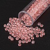 11/0 FGB Grade A Round Glass Seed Beads SEED-N001-D-211-1