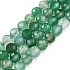 Natural Dyed & Heated Agate Beads Strands G-T141-16A-02-1
