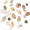 Mixed Natural Shell Bead Sets BSHE-PH0003-03-3