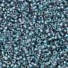 TOHO Round Seed Beads X-SEED-TR15-0263-2