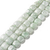 Natural Myanmar Jade Beads Strands G-C238-16A-1