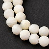 Shell Beads Strands SSHEL-E571-38-4mm-01-4