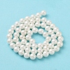 Shell Pearl Bead Strands BSHE-L026-03-6mm-4
