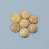 Natural Topaz Jade Cabochons G-P393-R35-12mm-3