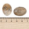 Natural Picture Jasper Cabochons G-Q186-01D-3