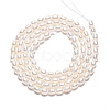 Natural Cultured Freshwater Pearl Beads Strands PEAR-N024-02-4AB-4