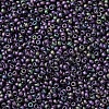 MIYUKI Round Rocailles Beads X-SEED-G007-RR2019-3
