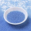 MIYUKI Round Rocailles Beads SEED-X0054-RR0159-2