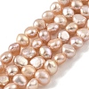 Natural Cultured Freshwater Pearl Beads Strands PEAR-A006-03F-2