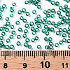 11/0 Grade A Transparent Glass Seed Beads X-SEED-Q007-F51-3