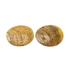 Spray Painted Natural Akoya Shell Charms SHEL-F007-15A-04-3