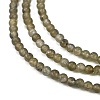 Natural Labradorite Beads Strands G-M438-A01-02-3