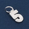 Number Series 925 Sterling Silver Charms STER-Q002-01F-3