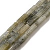 Natural Labradorite Beads Strands G-G873-A02-01-1