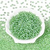 Transparent Glass Seed Beads SEED-N007-33A-05-2