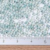 MIYUKI Round Rocailles Beads SEED-G007-RR0263-2