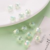 Transparent Acrylic Beads TACR-S152-04B-SS2111-6