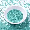 MIYUKI Delica Beads SEED-MY11-DB0166-3